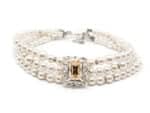 Dani Choker
